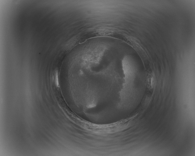 X0000072960046200607211209