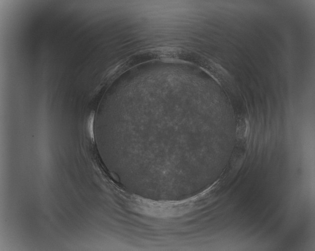 X0000072960047200607211209