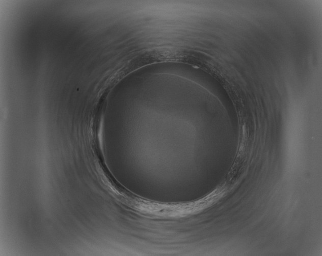 X0000072960048200607211208