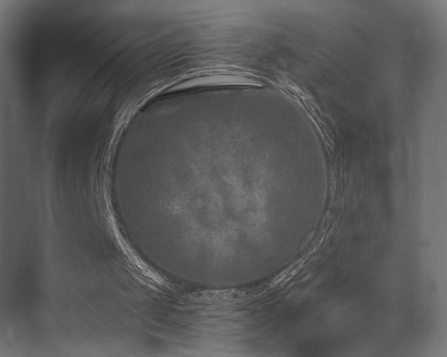 X0000072960049200607211208