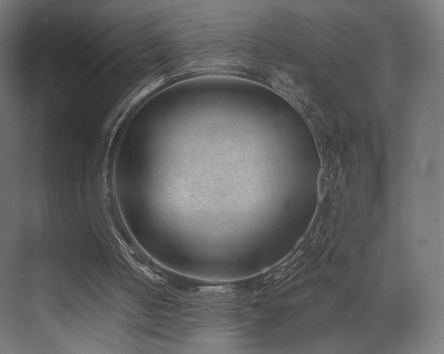 X0000072960050200607211208