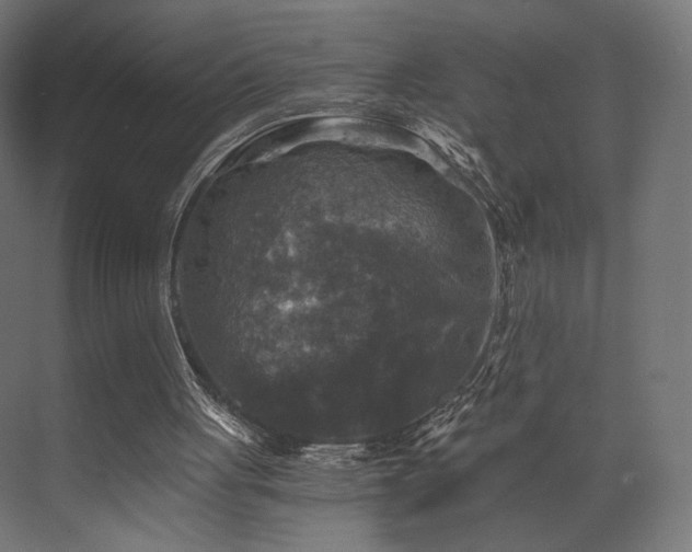 X0000072960051200607211208