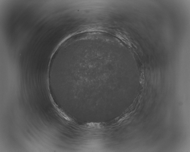 X0000072960052200607211208