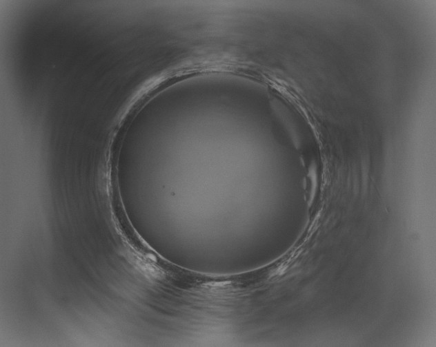 X0000072960054200607211208