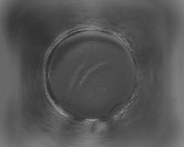 X0000072960055200607211208