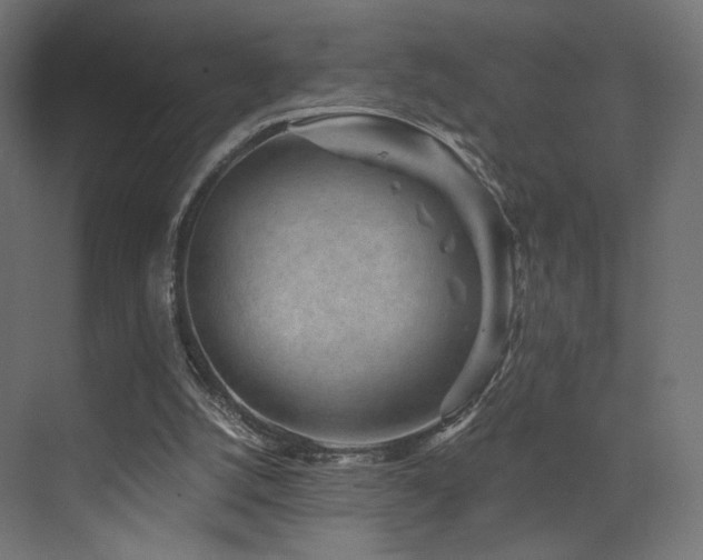 X0000072960056200607211208