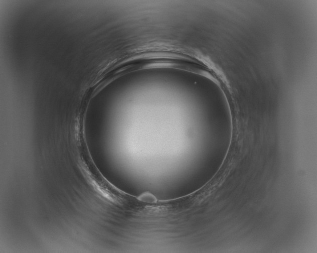 X0000072960057200607211208