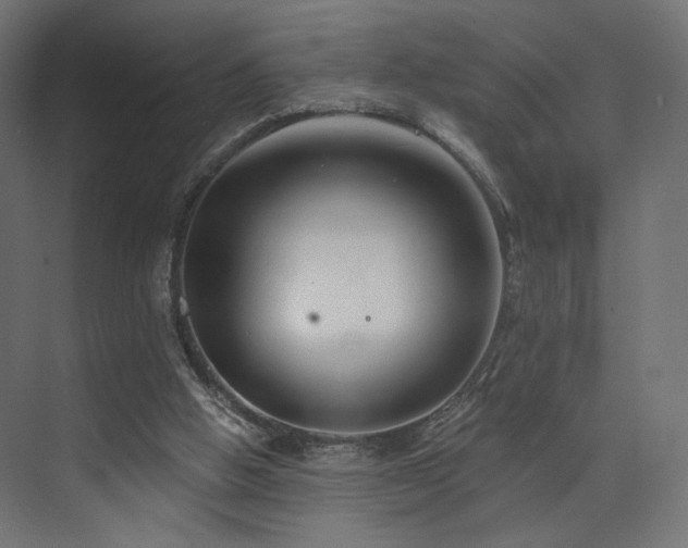 X0000072960058200607211208