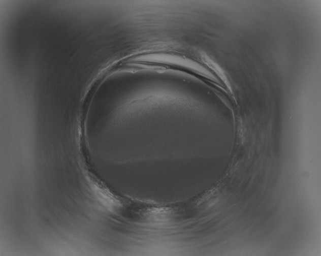 X0000072960059200607211208