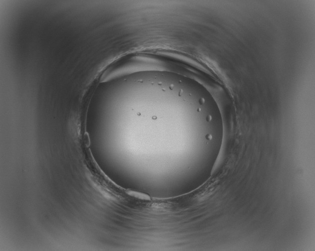 X0000072960060200607211208