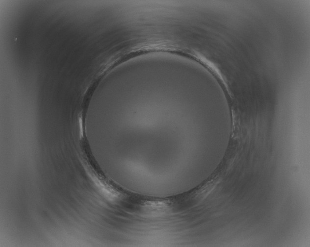 X0000072960061200607211208