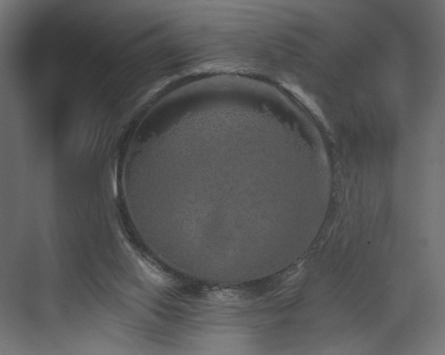 X0000072960062200607211208