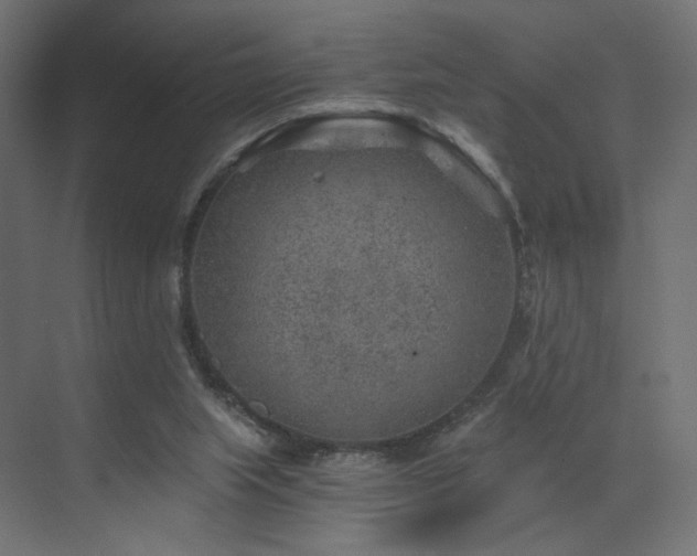 X0000072960063200607211208