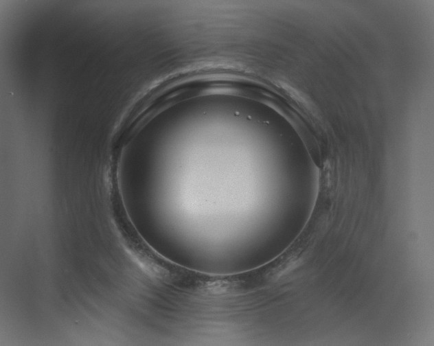 X0000072960064200607211208