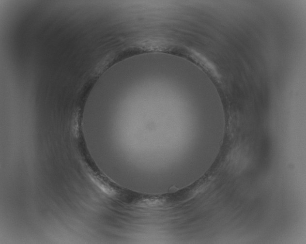 X0000072960065200607211208