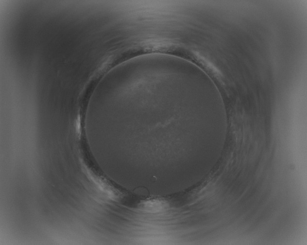 X0000072960067200607211208