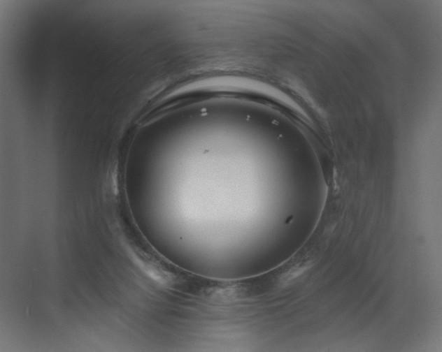 X0000072960068200607211208