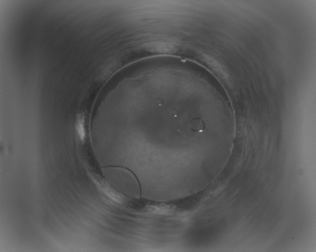 X0000072960069200607211208