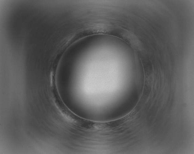 X0000072960070200607211208