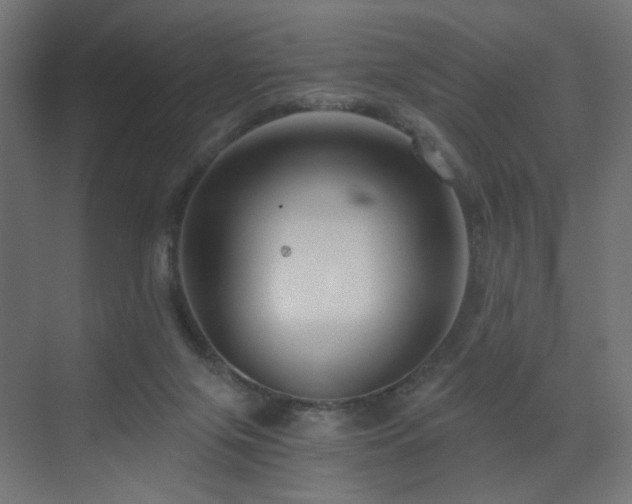 X0000072960071200607211208