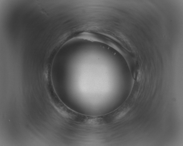 X0000072960072200607211208