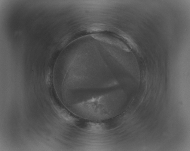 X0000072960073200607211208