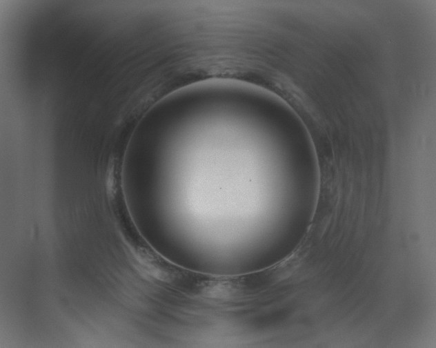 X0000072960074200607211208