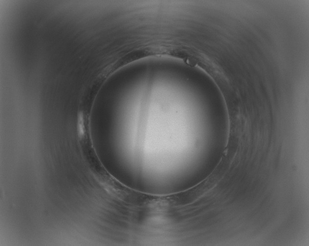 X0000072960075200607211208