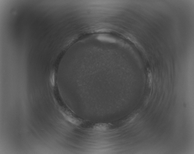 X0000072960076200607211208