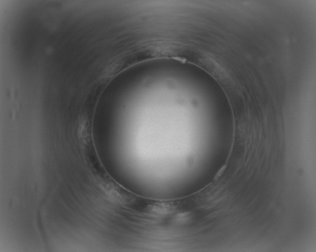 X0000072960079200607211208