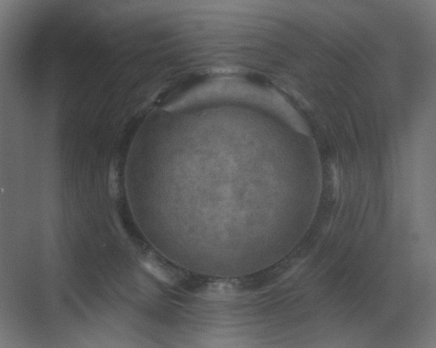 X0000072960080200607211208