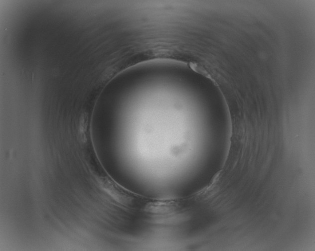 X0000072960082200607211208