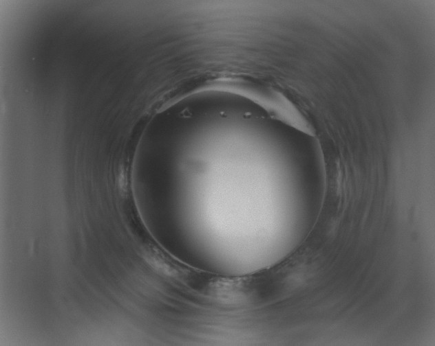 X0000072960084200607211208