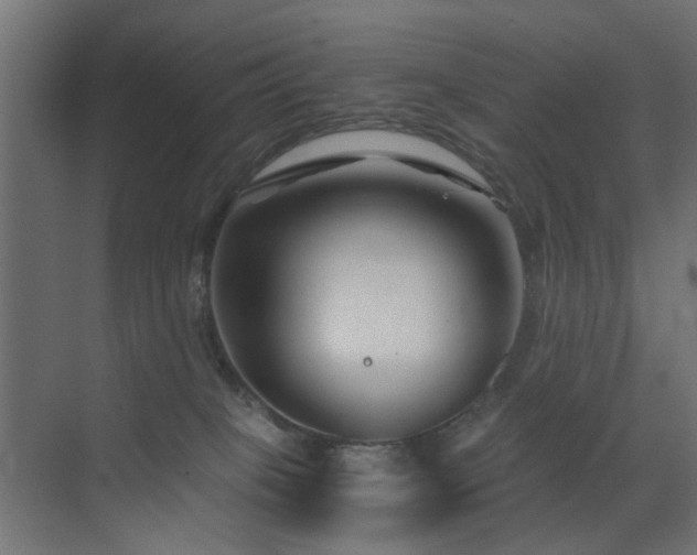 X0000072960085200607211208