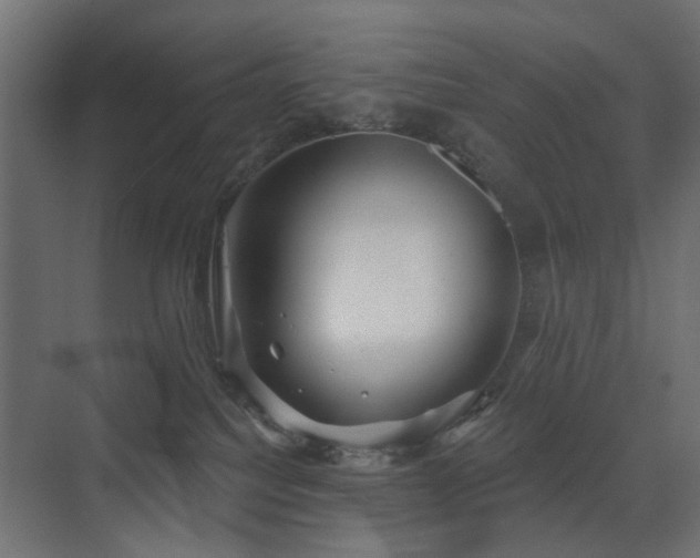 X0000072960088200607211208