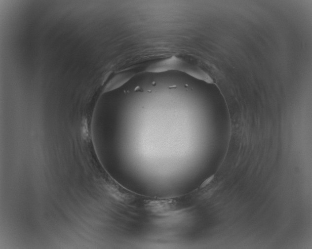 X0000072960089200607211208