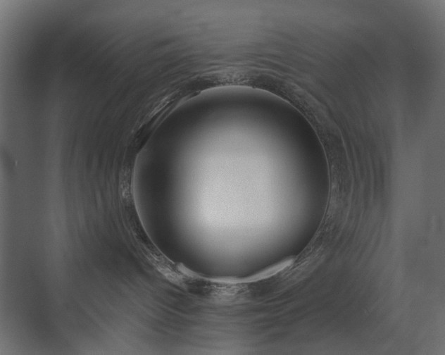 X0000072960096200607211208