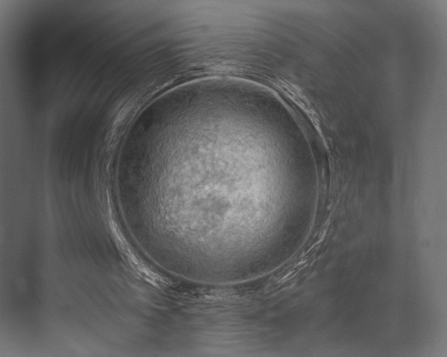 X0000072960097200607211208