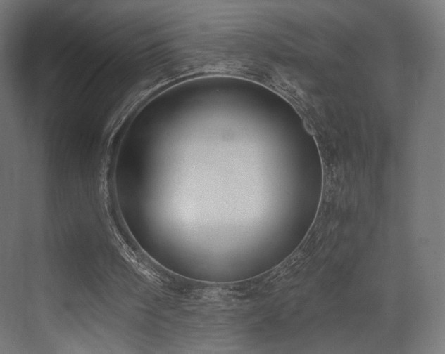 X0000072960098200607211208