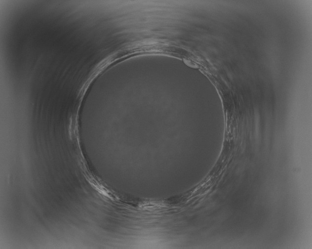 X0000072960099200607211208