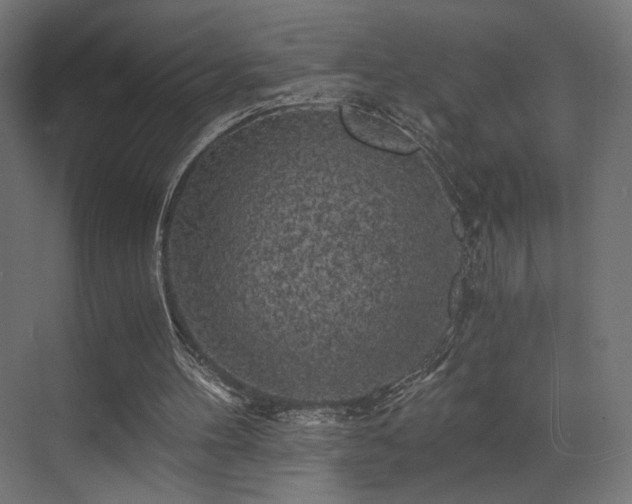 X0000072960100200607211208