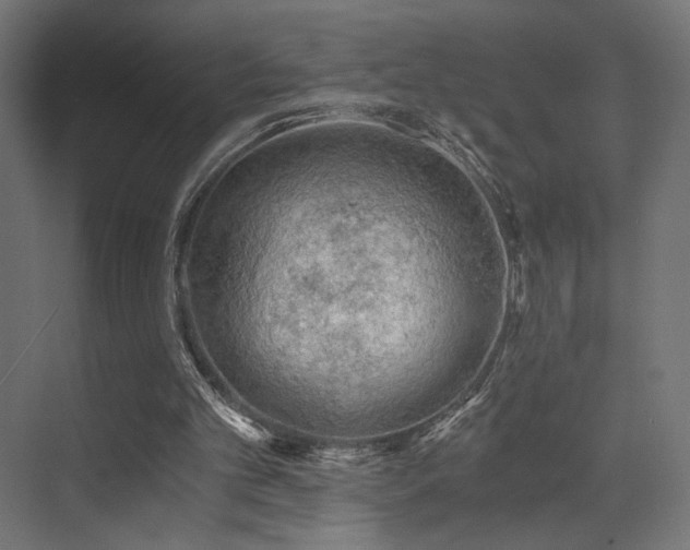 X0000072960101200607211208