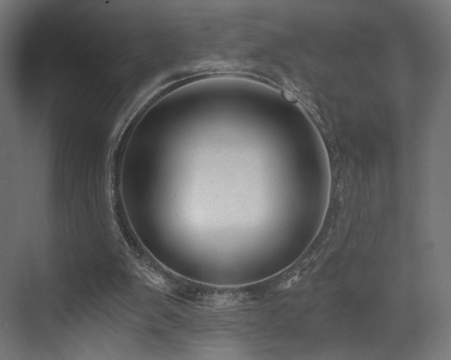 X0000072960103200607211208