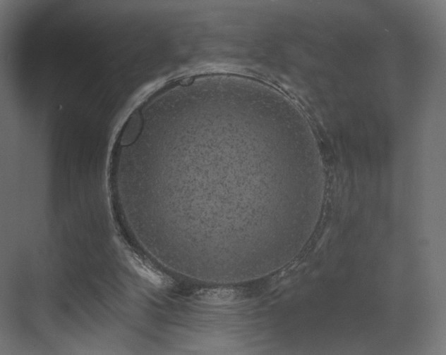 X0000072960104200607211208