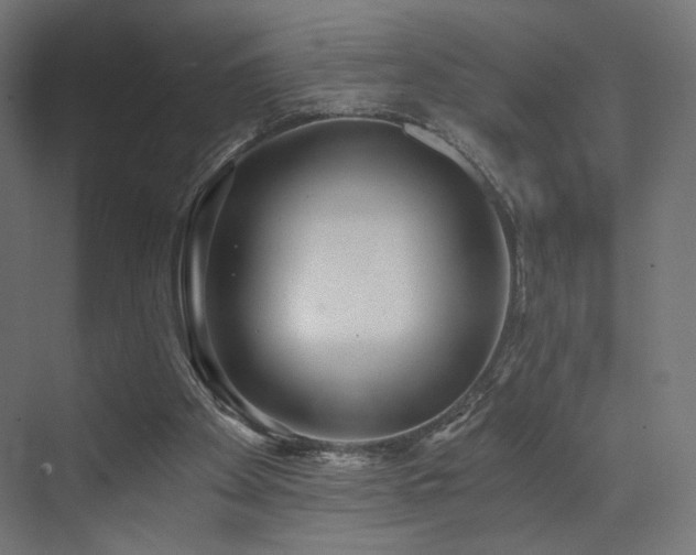 X0000072960105200607211208