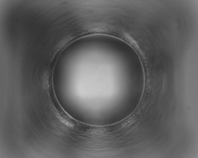 X0000072960106200607211208