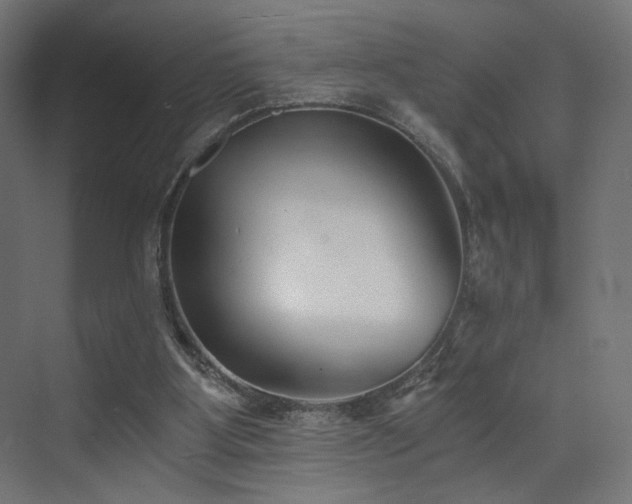 X0000072960107200607211207