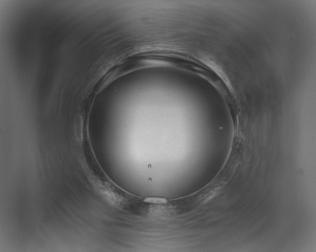 X0000072960109200607211207