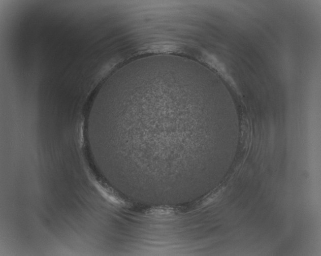 X0000072960110200607211207