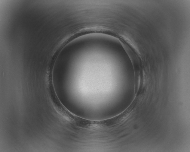 X0000072960111200607211207